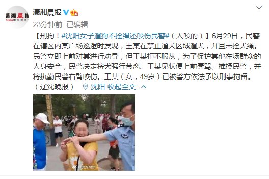  拴绳|刑拘！沈阳女子遛狗不拴绳还咬伤民警（人咬的）