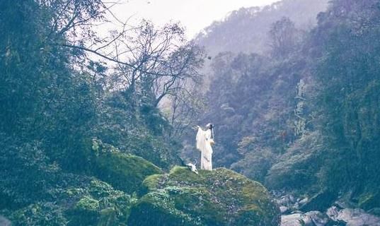 反而|向秀为何在做官后吗,反而更有时间去体会和揣摩人生了?