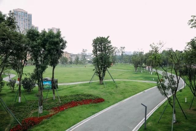 丝绸|“隐秘的角落”第二弹,你的家门口或许就隐藏着“诗与远方”