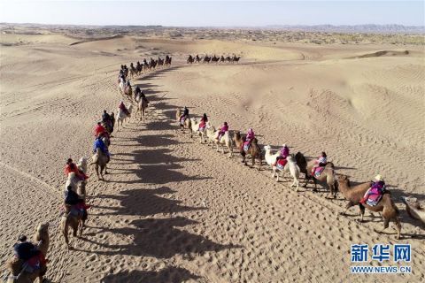  内蒙古|内蒙古阿拉善：金秋大漠旅游旺