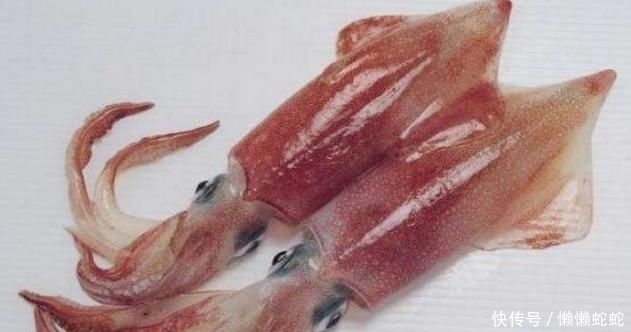 好吃|章鱼须这样做太好吃了,香嫩入味,麻辣爽口,好吃到停不下来