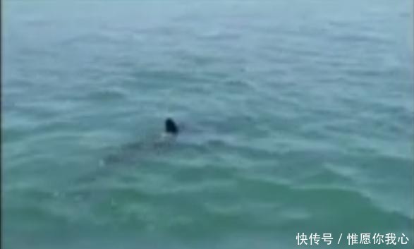 发生|海滩上发生惨痛一幕,解放军果断出手,全世界都纷纷点赞