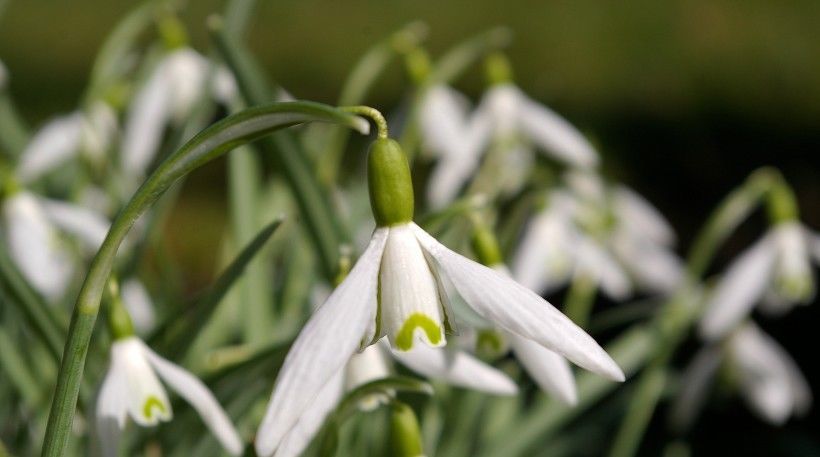 发大财|8月开始好运相伴,财富大利,闷声发大财的四大生肖