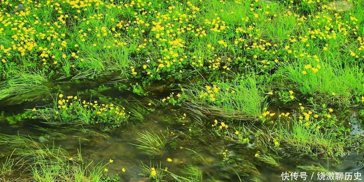  诗人|17岁的白居易参加科举考试，写下平生得意之作，震惊了大唐文坛