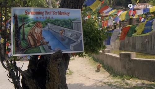  佳作|豆瓣预定超9分的佳作：原来我们错过许多惊喜，真遗憾没早点看到