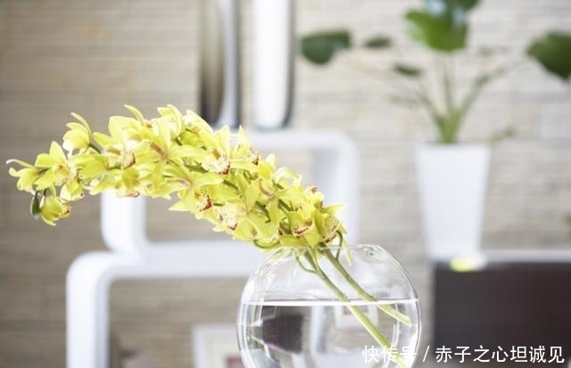 来临|9月底,秋风飒爽,旧情人来临,3生肖痴缠到底,再次琴瑟和鸣