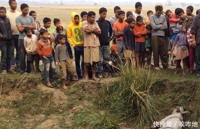 东西|犀牛死路边好几天, 兽医赶来解剖, 取出一东西, 大家不淡定