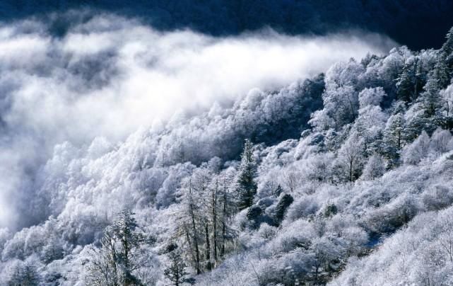 鸿运|8月后, 鸿运当头, 一朝时运至, 幸运一辈子的3大星座