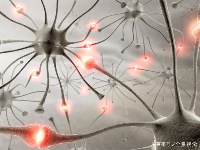 医生|为什么脑梗塞、脑出血容易留下后遗症？医生说和装修房子一个道理