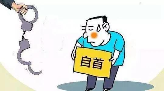  竟是|女大学生被套路“网贷”，下黑手的竟是“网恋男友”，还有这种操作？