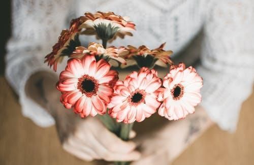 瞎扯|凤凰男都是渣男?瞎扯!凤凰男中也有“金凤凰”