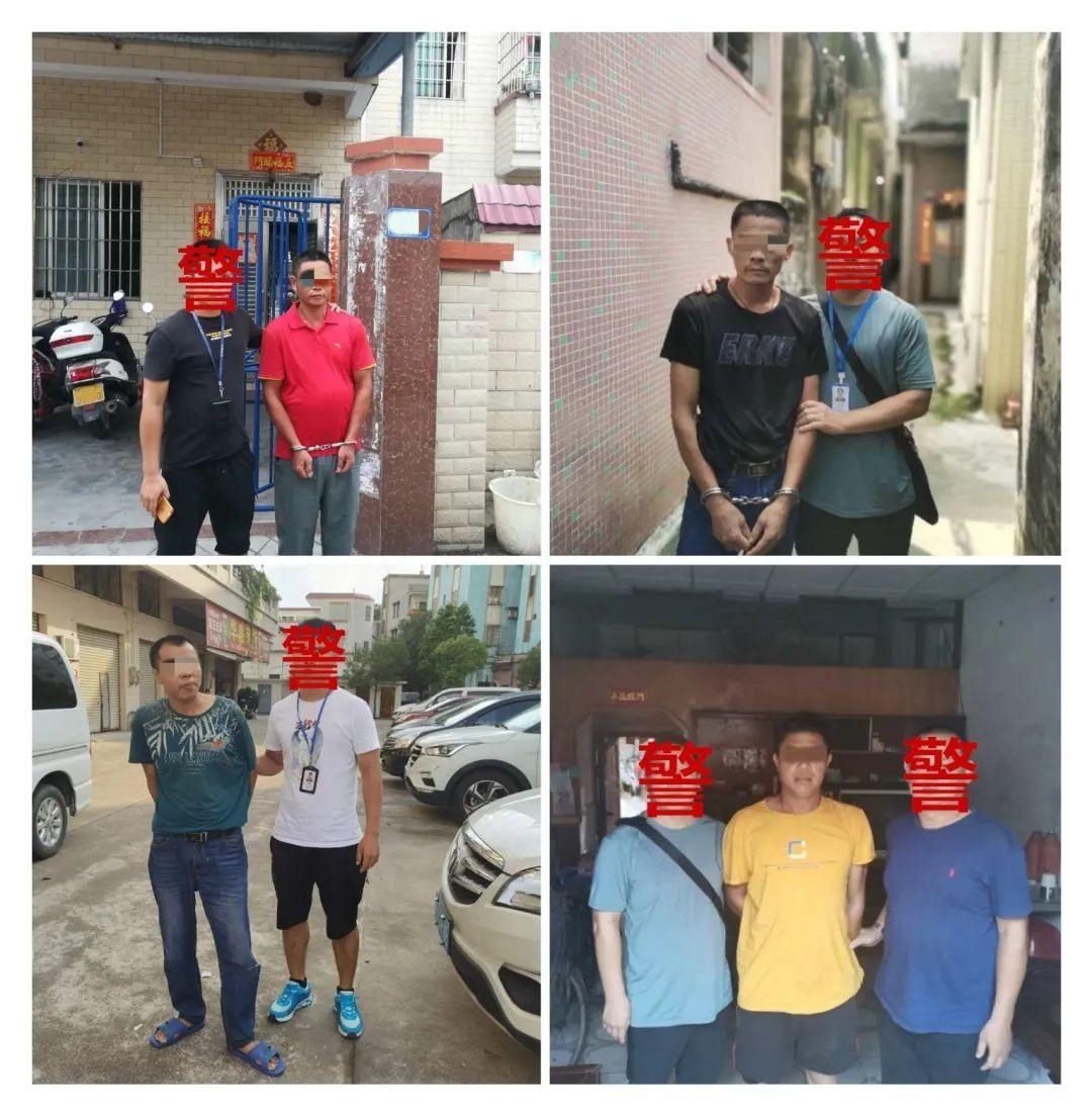 逮住|逮住了！这5人的偷狗团伙被一锅端