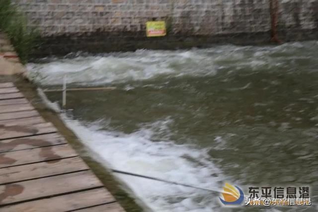  男子|痛心！一东平男子外出游玩时溺水身亡