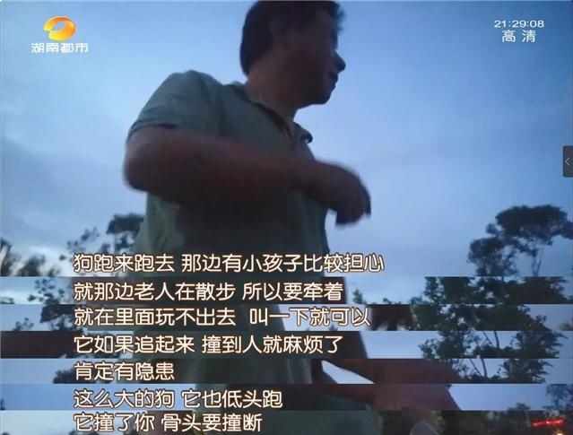 公园|长沙养犬的注意了！延长整治行动两个月，不戴嘴套、遛狗不牵绳…无证养犬直接扣留