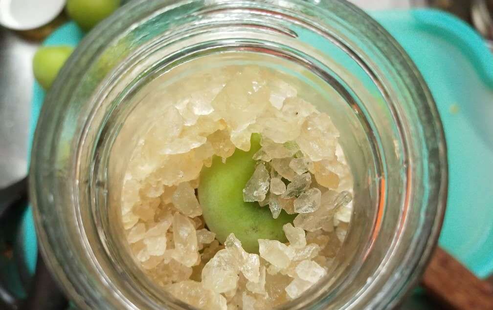  冰糖|家中必备小甜酒, 喝上一口惬意舒心, 高度青梅酒和梅子露的做法来咯