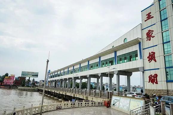 开闸蓄洪|带走与带不走的：淮河蓄洪区两千居民的撤离与留恋｜正午