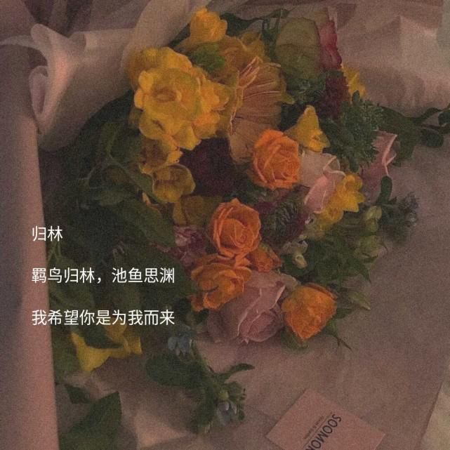  顺风|具有寓意的古风网名·小众文案:说不定随心所欲的生活更顺风顺水呢