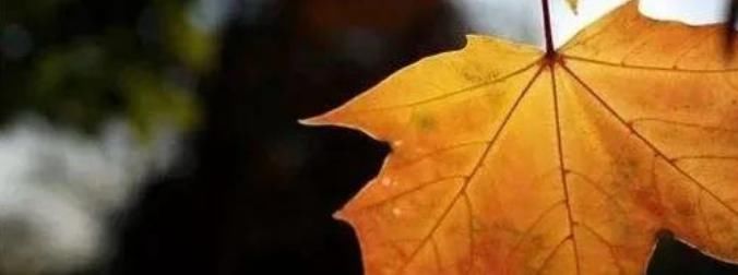  养生|立秋过后，暑去凉来，立秋后养生“四原则”健康养身从睡眠开始