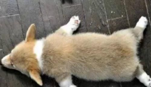  该做|你为什么挣不到钱？有一个很重要的原因，就是因为文中的这一个字