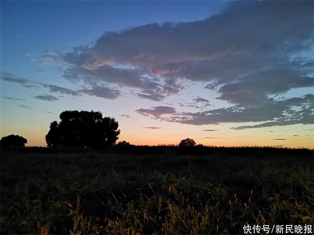 管朝涛：白沟记