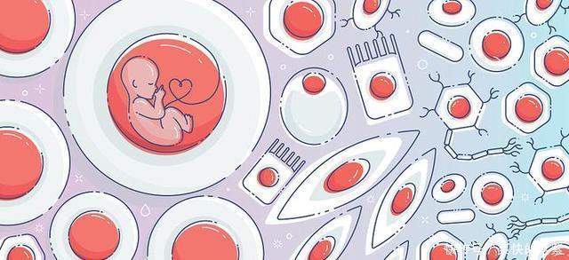 细胞来源|父母年龄太大,没有兄弟姐妹……身患白血病的他,该如何获得造血干细胞?