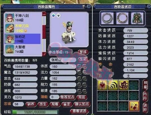 综合|梦幻西游：综合73伤的宝宝装备卖不出去，新出法系极品元身锤子！