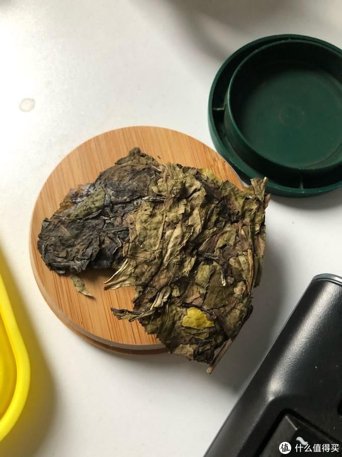  白茶|福鼎白茶入门小记