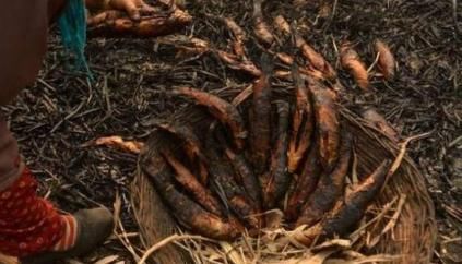 中国|印度的“顶级”美食,号称可以打败中国美食,网友看到后笑了