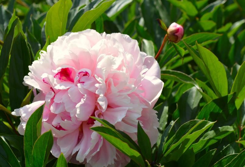 星座|10月,好运汇聚,爱情柳暗花明的4大星座,桃花运超棒