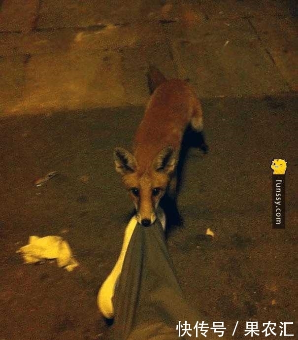 觉醒|8张「一觉醒来世界怎么变了」的照片