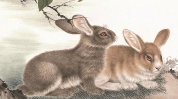  生肖|不善于表达，习惯把爱藏在内心的生肖，特别善于伪装！