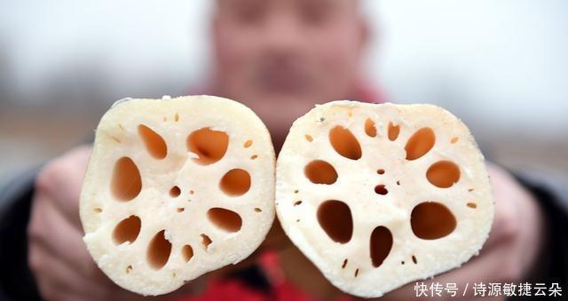 季节|秋天是吃藕的季节,7孔和9孔的味道很不一样,如果你想要软糯米