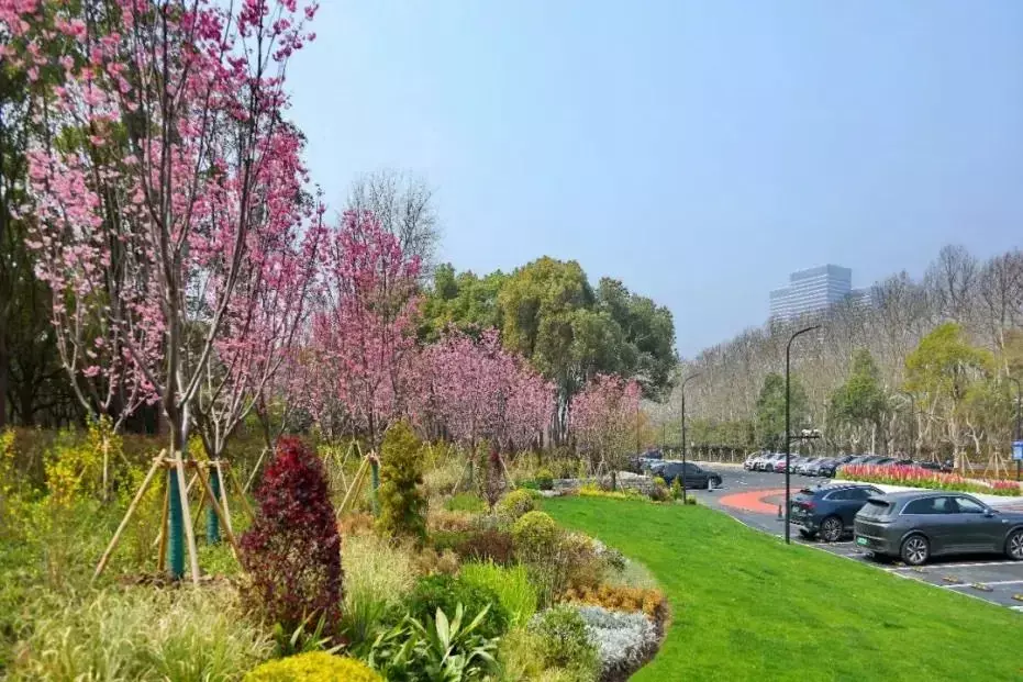 定了！上海知名公园加速破墙，最快“五一”前24小时免费开放！还有更多惊喜？