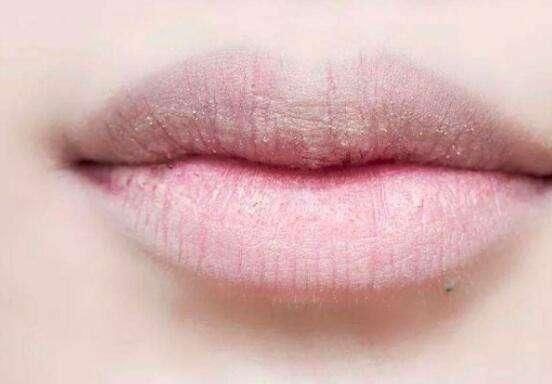  嘴巴|李佳琦一年要试色“上千支口红”，为什么嘴巴还那么Q弹？