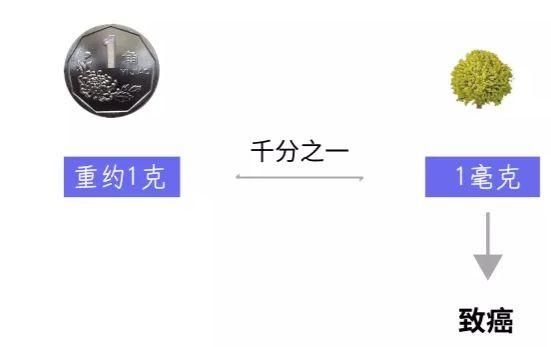 1毫克|一家9口聚餐，7人身亡！最新详情披露