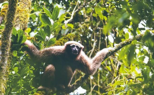 生长|云之南，一个生生不息、万物生长的地方