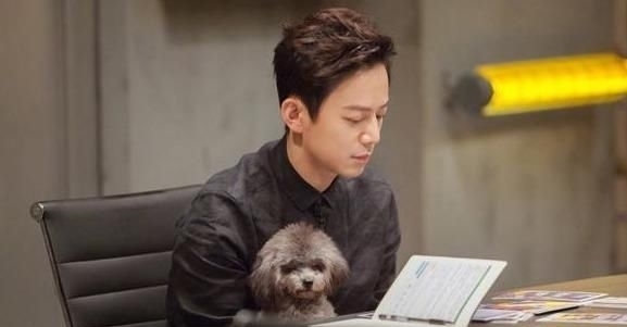 大概|何炅大概是综艺指南针只要是他参加的综艺就没有烂片一说