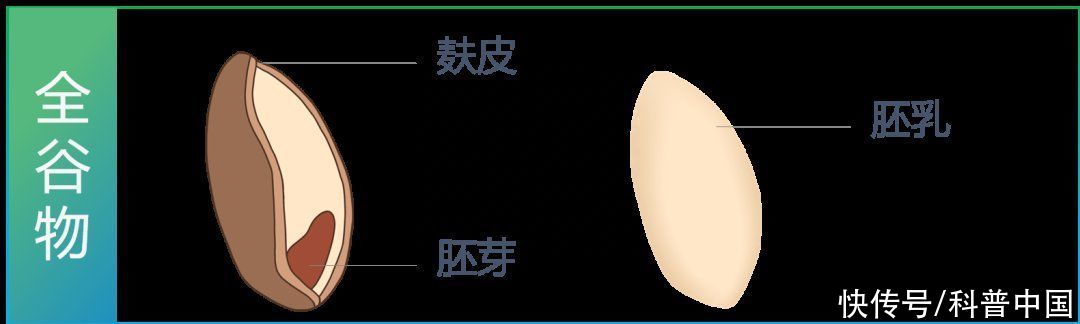 粗粮怎么做才升糖慢(一种被严重忽视的粗粮产品！冲泡就能吃，营养丰富还升糖慢)