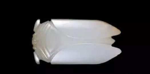 福泽|玉雕蝉的禁忌,你都了解吗?戴对才能腰“蝉”万贯、福泽一生!
