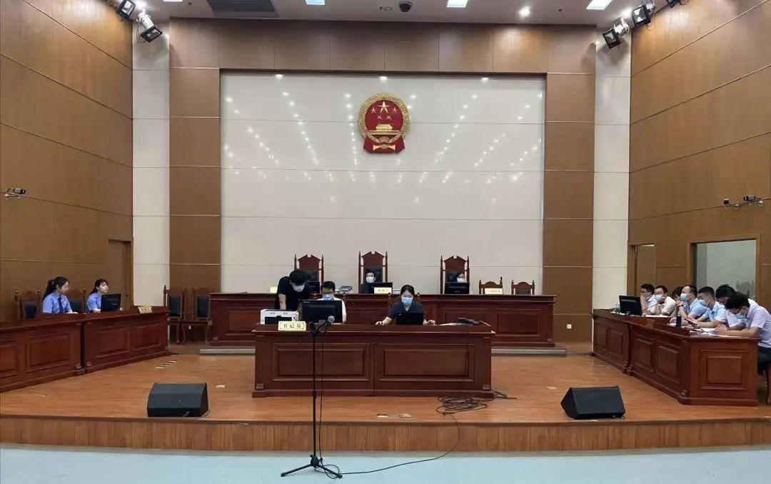 犯罪集团|26人恶势力犯罪集团被公开审理!