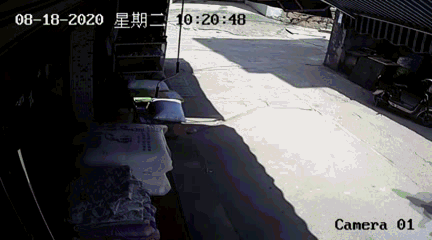 逃跑|涉嫌盗窃！男子一路逃跑撞汽车后还跑…最终晕了