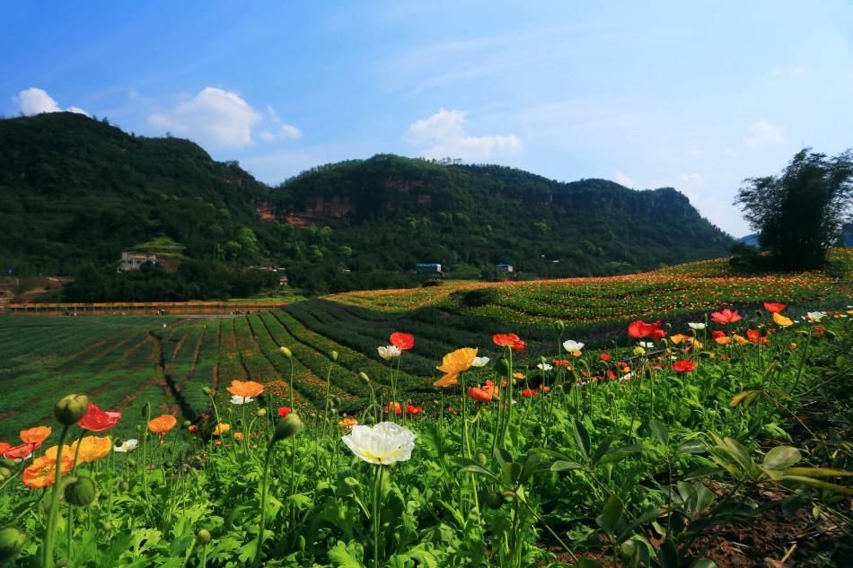 铁路|我国最无奈的火车站，开通后未通火车，如今迎来新铁路，进入发展新时代！