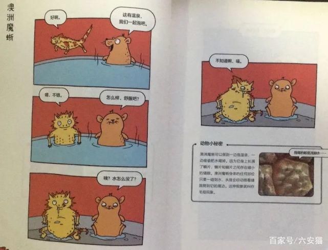 本事来吃|拥有美貌的麝雉,为什么屡屡遭到拒绝,只因为它自带体“香”