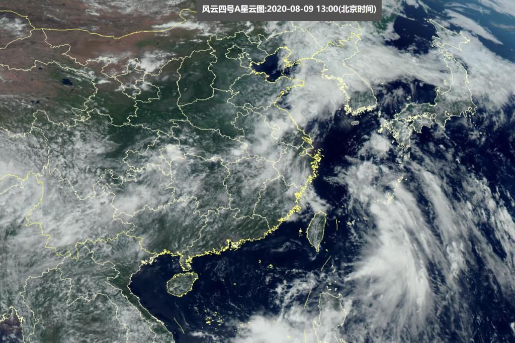  影响|台风蔷薇和2胚胎出现，太平洋突然“大乱斗”！会不会影响我国？