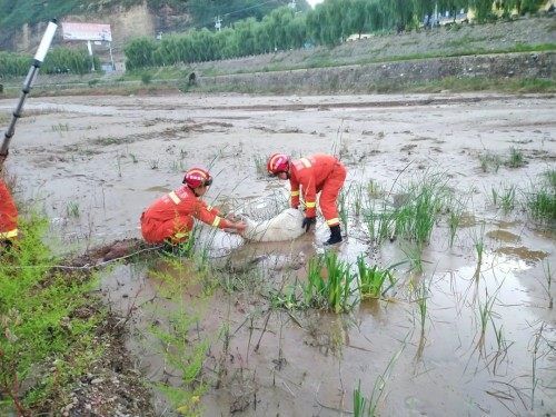 班车司机|「延安一周大事件」班车甩客、大风刮倒4棵树5辆车被砸、少女19楼欲轻生