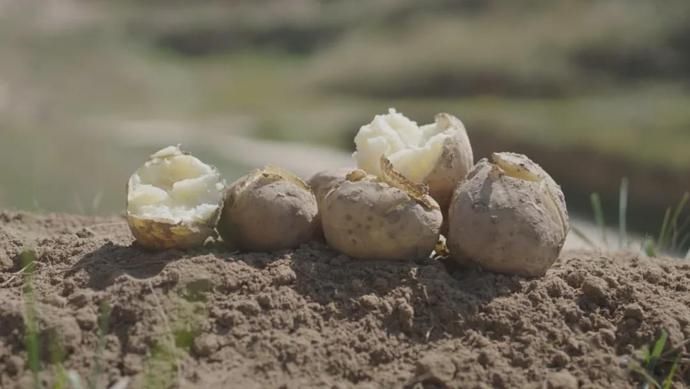 西北|蹲个西北人:洋芋擦擦夹夹格格颗颗到底是啥?