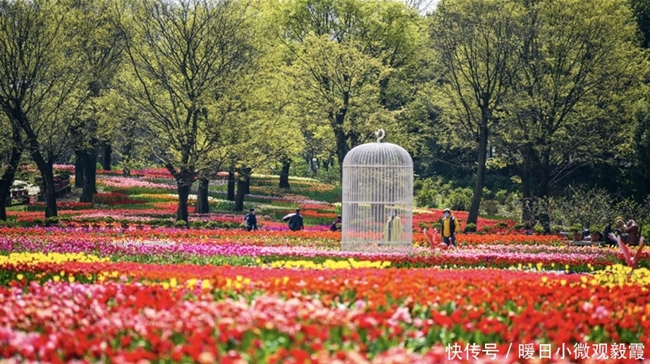  浅谈|浅谈秀丽东方IP对成都公园城市建设的借鉴作用