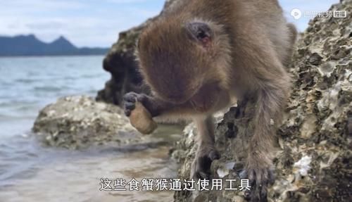  佳作|豆瓣预定超9分的佳作：原来我们错过许多惊喜，真遗憾没早点看到