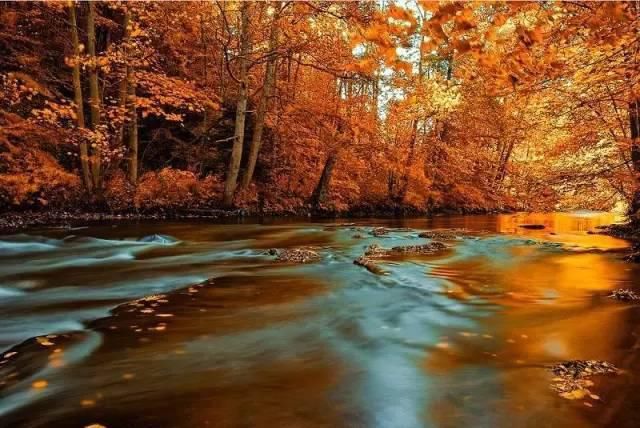  秋景|这一组迷人秋景，美爆了朋友圈！