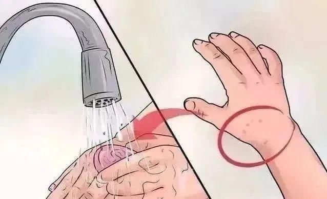  出没|当心！有蛇出没！